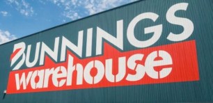 bunnings privacy