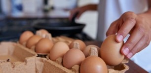Eggs act standards: Free range egg producers call for urgent reform and clear national guidelines